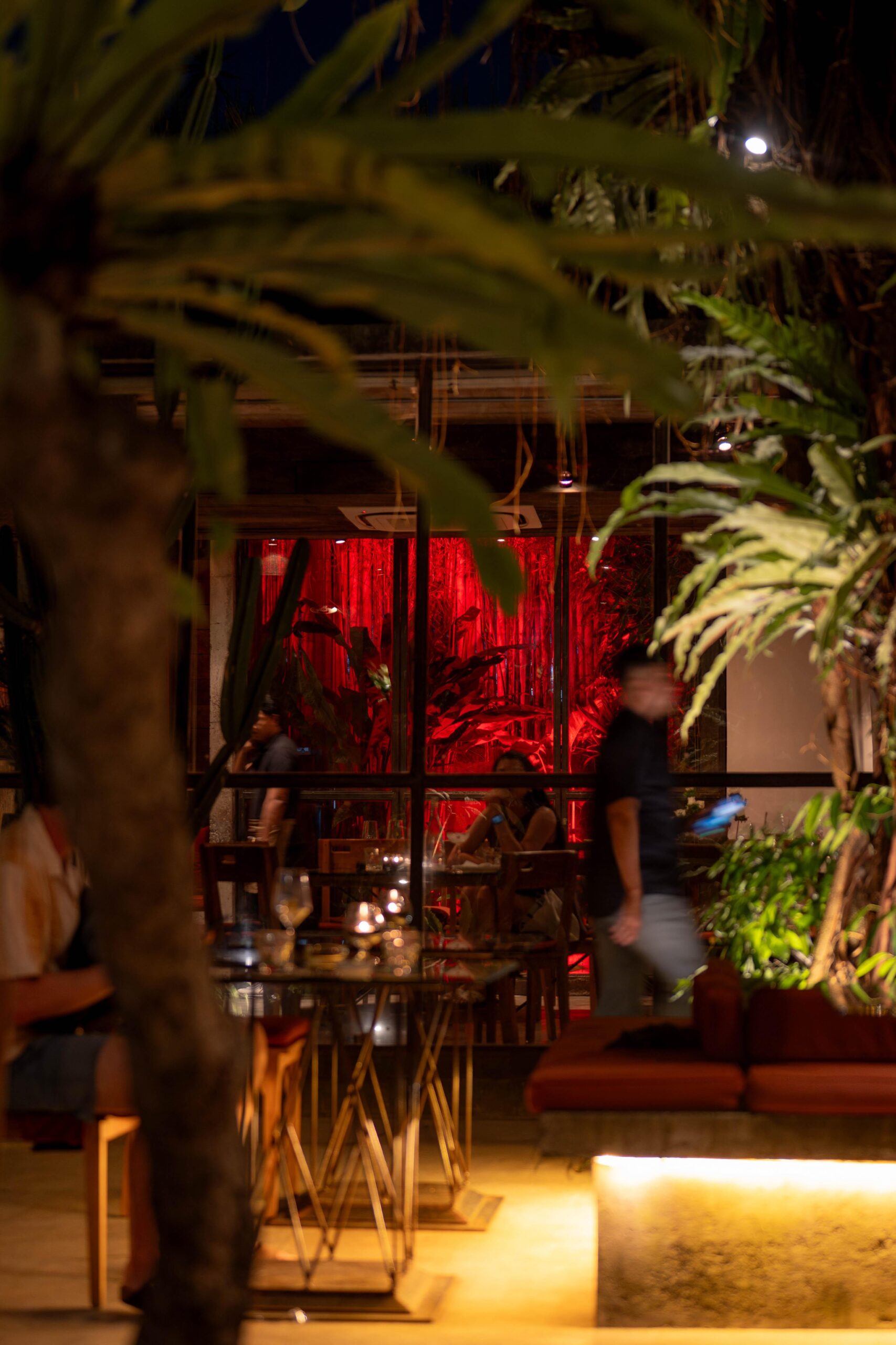 A dimly lit restaurant scene with tropical plants, glass walls, and a vibrant red backdrop, creating an inviting atmosphere.