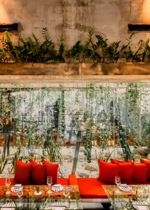 Cozy dining area at Kilo Kitchen featuring vibrant orange cushions, glass tables, and lush green plants behind large glass windows.